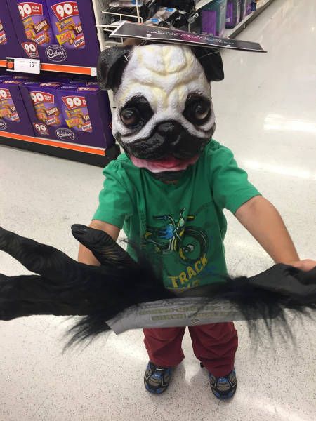 Daily Pictures. Part 2 (59 pics)