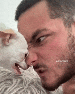 Acid GIFs, May 27 (25 gifs) Acid GIFs, May 27 (25 gifs)