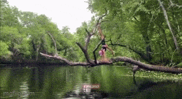 Acid GIFs, May 27 (25 gifs) Acid GIFs, May 27 (25 gifs)