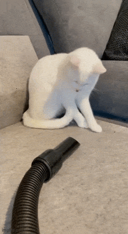 Acid GIFs, May 27 (25 gifs)