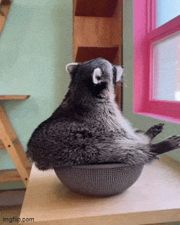 Acid GIFs, May 27 (25 gifs) Acid GIFs, May 27 (25 gifs)