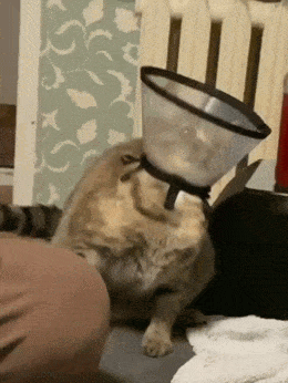 Acid GIFs, May 27 (25 gifs) Acid GIFs, May 27 (25 gifs)