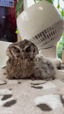 Acid GIFs, May 27 (25 gifs) Acid GIFs, May 27 (25 gifs)