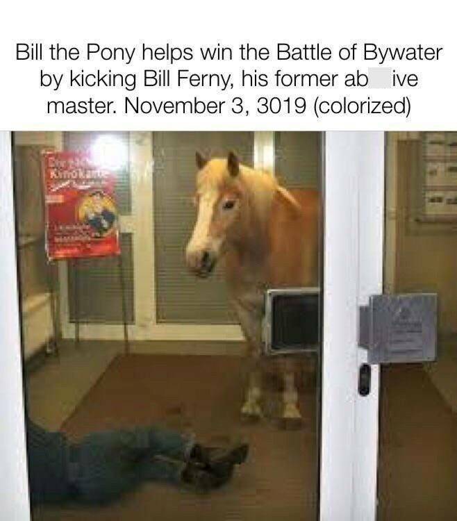 Daily Pictures. Part 2 (63 pics)