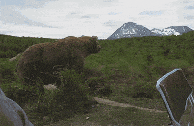 Acid GIFs, May 28 (25 gifs)