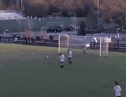 Acid GIFs, May 28 (25 gifs) Acid GIFs, May 28 (25 gifs)
