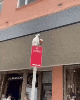 Acid GIFs, May 28 (25 gifs) Acid GIFs, May 28 (25 gifs)