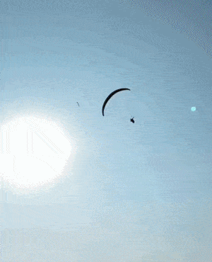Acid GIFs, May 28 (25 gifs) Acid GIFs, May 28 (25 gifs)
