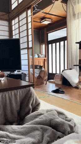 Acid GIFs, May 28 (25 gifs)