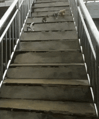 Acid GIFs, May 28 (25 gifs) Acid GIFs, May 28 (25 gifs)
