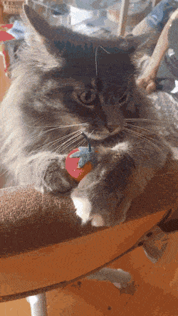 Acid GIFs, May 28 (25 gifs)