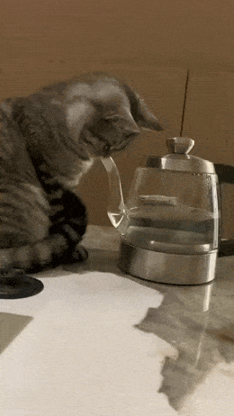 Acid GIFs, May 28 (25 gifs) Acid GIFs, May 28 (25 gifs)