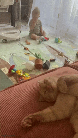 Acid GIFs, May 28 (25 gifs)