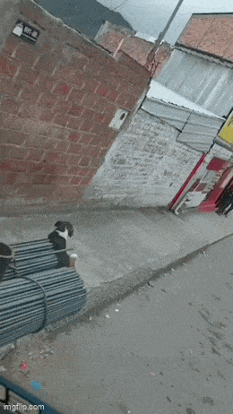 Acid GIFs, May 28 (25 gifs) Acid GIFs, May 28 (25 gifs)