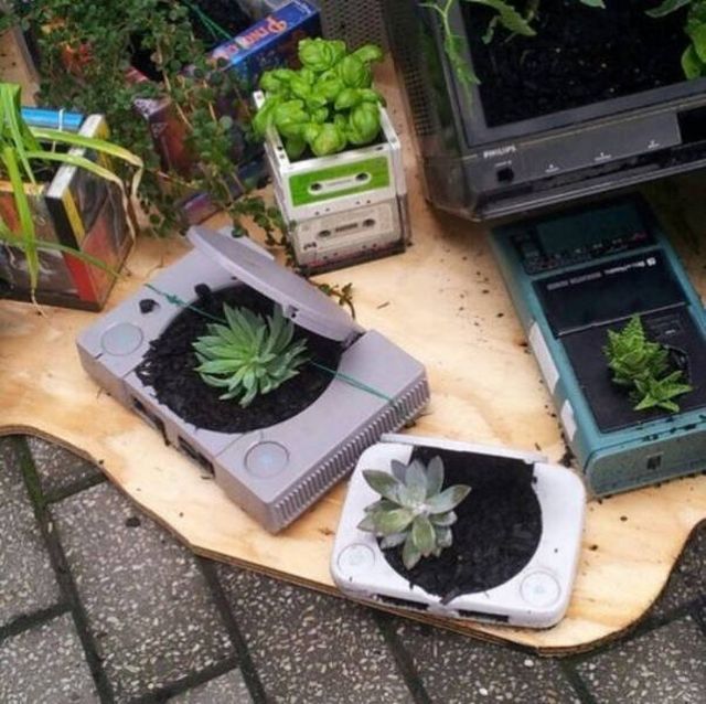 Wild Gardening (28 pics)