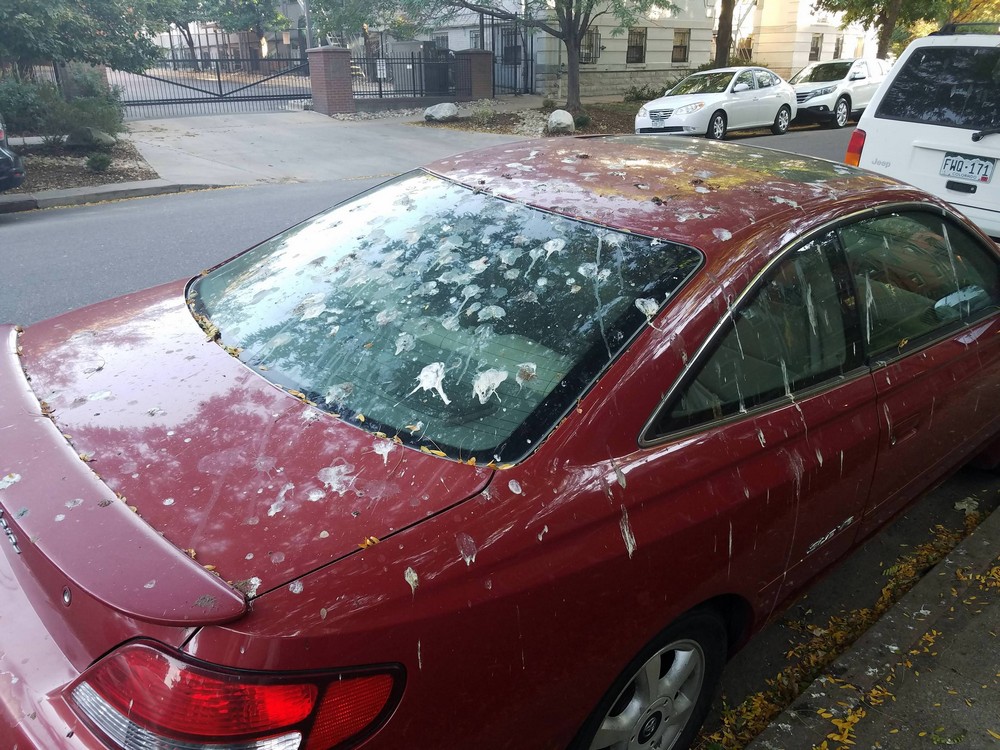 Bad Days Happen (27 pics)