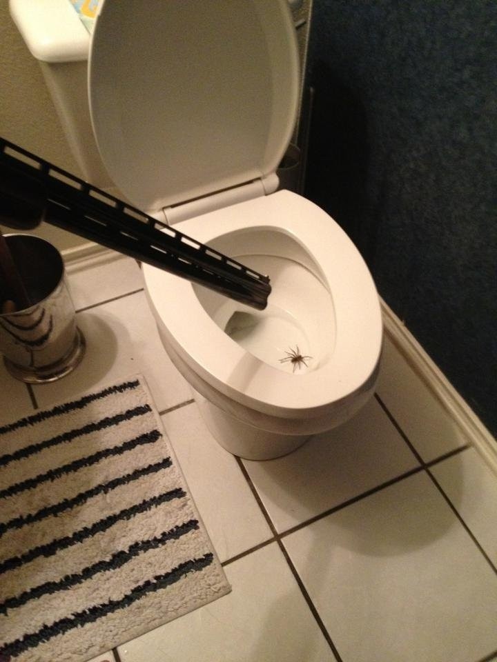 Bad Days Happen (27 pics)