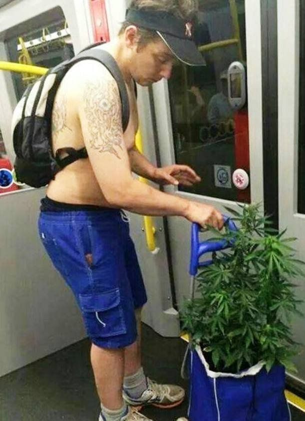 Strange People In The Subway (21 pics)