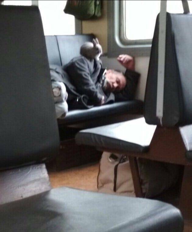 Daily Pictures. Part 1 (61 pics)