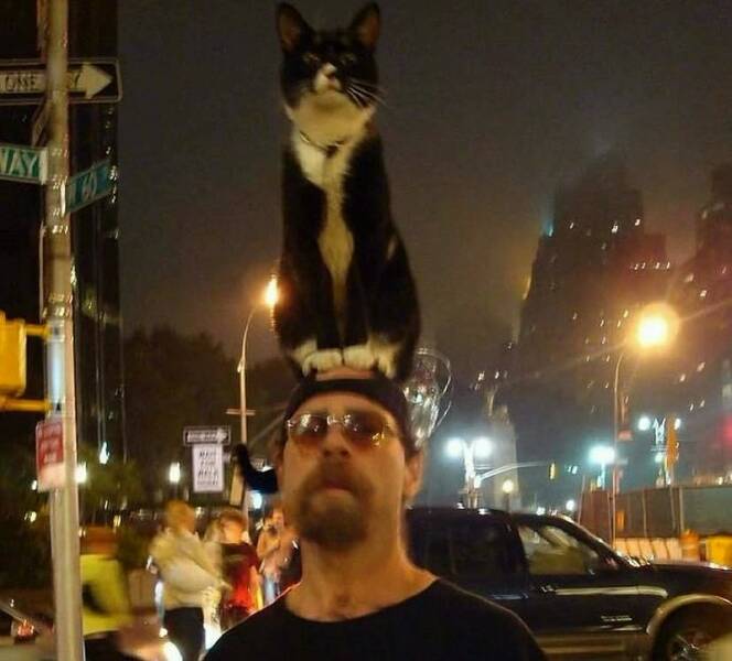 Daily Pictures. Part 1 (61 pics)