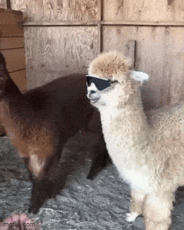 Acid GIFs, May 29 (25 gifs) Acid GIFs, May 29 (25 gifs)