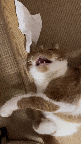 Acid GIFs, May 29 (25 gifs) Acid GIFs, May 29 (25 gifs)