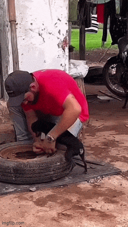 Acid GIFs, May 29 (25 gifs) Acid GIFs, May 29 (25 gifs)