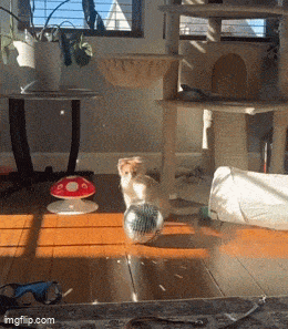 Acid GIFs, May 29 (25 gifs) Acid GIFs, May 29 (25 gifs)