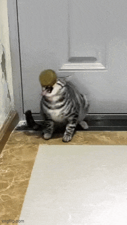 Acid GIFs, May 29 (25 gifs) Acid GIFs, May 29 (25 gifs)