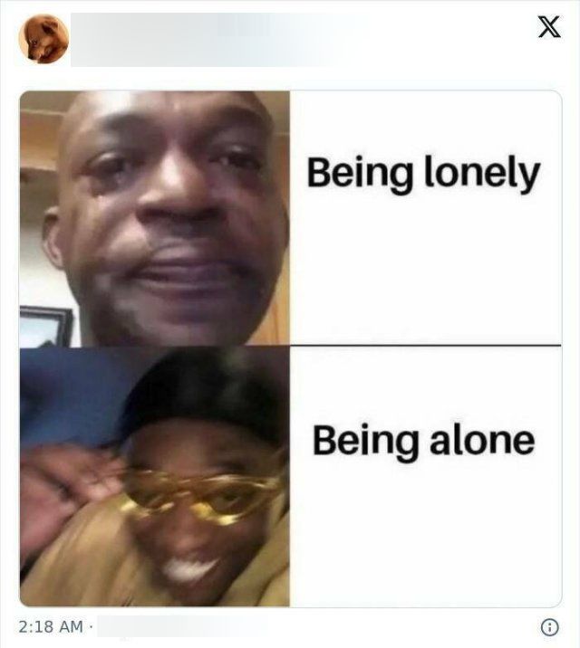 Memes For Introverts (25 pics)