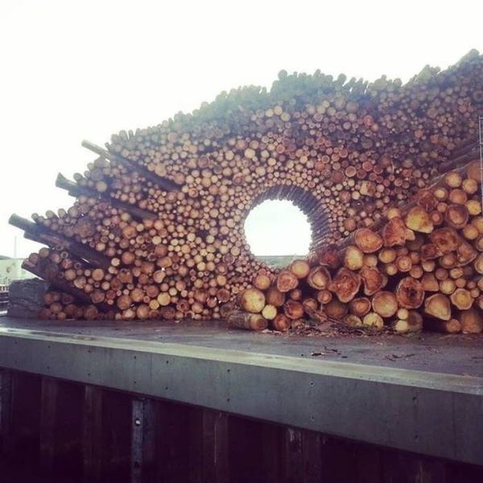 Photos For Perfectionists (23 pics)