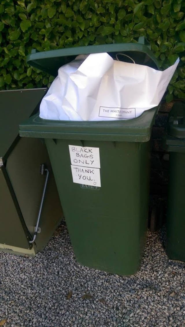 They Break The Rules (18 pics)