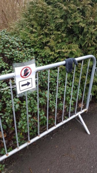 They Break The Rules (18 pics)