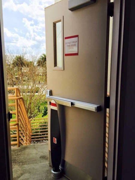 They Break The Rules (18 pics)