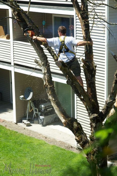 They Don't Care About Safety (23 pics)