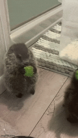 Acid GIFs, May 30 (25 gifs) Acid GIFs, May 30 (25 gifs)