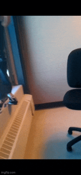 Acid GIFs, May 30 (25 gifs) Acid GIFs, May 30 (25 gifs)