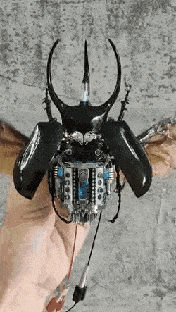 Acid GIFs, May 30 (25 gifs) Acid GIFs, May 30 (25 gifs)