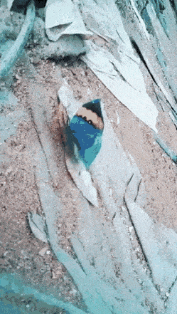Acid GIFs, May 30 (25 gifs) Acid GIFs, May 30 (25 gifs)