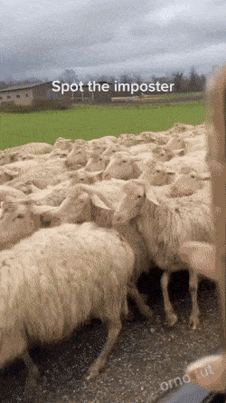 Acid GIFs, May 30 (25 gifs) Acid GIFs, May 30 (25 gifs)
