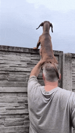 Acid GIFs, May 30 (25 gifs) Acid GIFs, May 30 (25 gifs)
