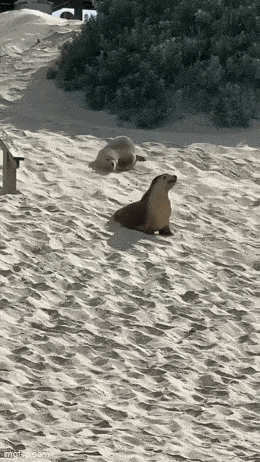 Acid GIFs, May 30 (25 gifs) Acid GIFs, May 30 (25 gifs)