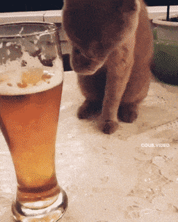 Acid GIFs, May 30 (25 gifs) Acid GIFs, May 30 (25 gifs)