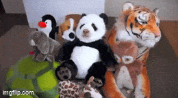 Acid GIFs, May 30 (25 gifs) Acid GIFs, May 30 (25 gifs)