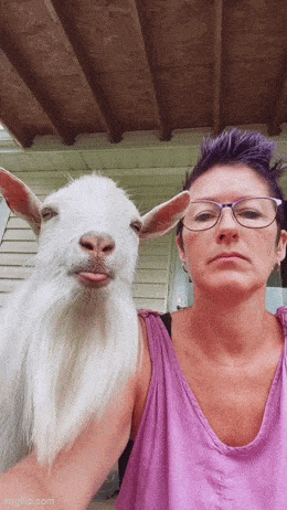Acid GIFs, May 30 (25 gifs) Acid GIFs, May 30 (25 gifs)