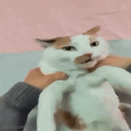 Acid GIFs, May 30 (25 gifs) Acid GIFs, May 30 (25 gifs)