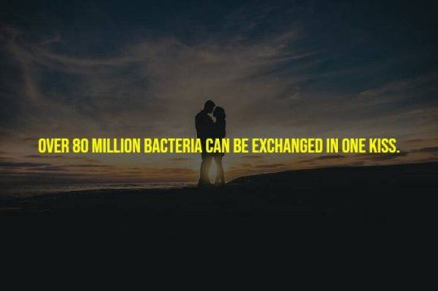Creepy Facts (15 pics)
