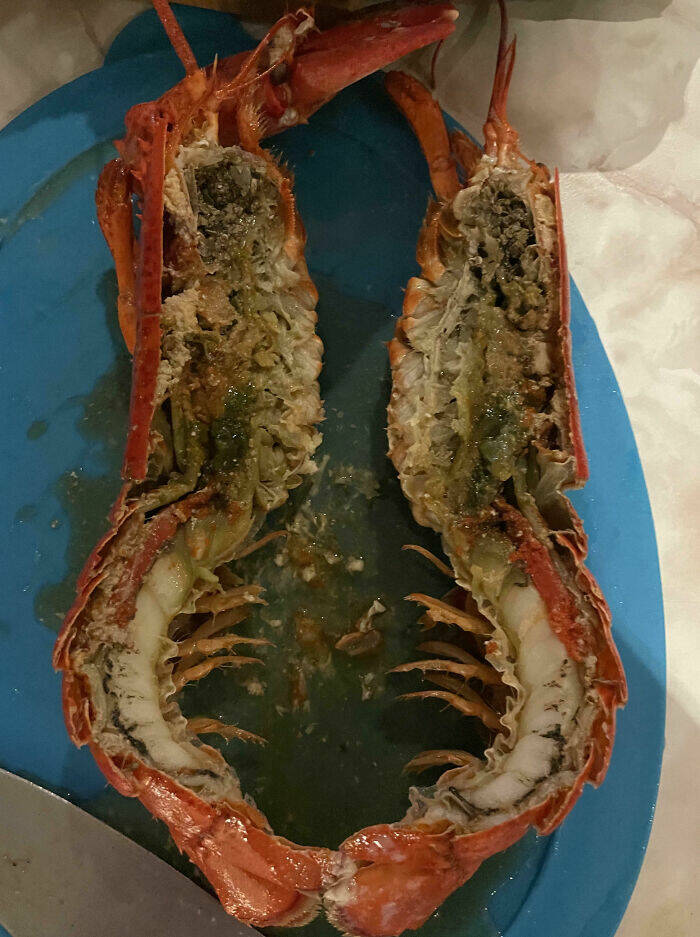 Culinary Fails (23 pics)