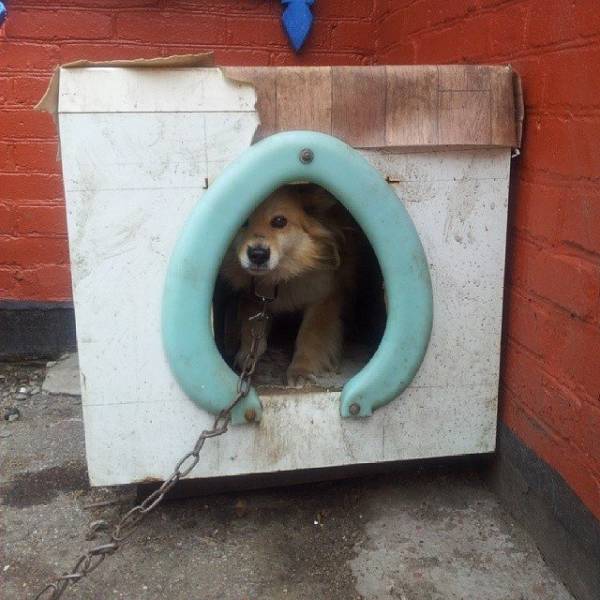 Redneck Repairs And Inventions (25 pics)