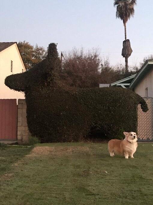 Daily Pictures. Part 1 (64 pics)